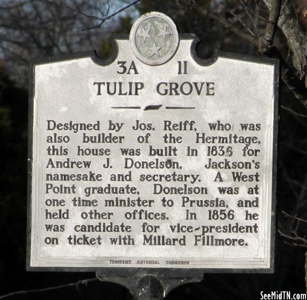 Tulip Grove