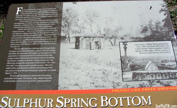 Sulphur Spring Bottom