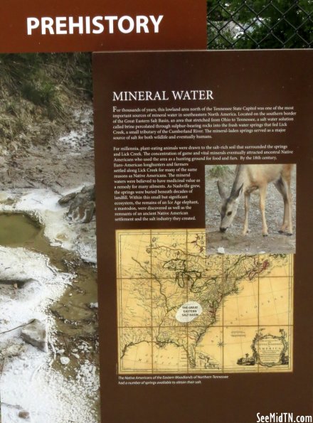 Prehistory - Mineral Water