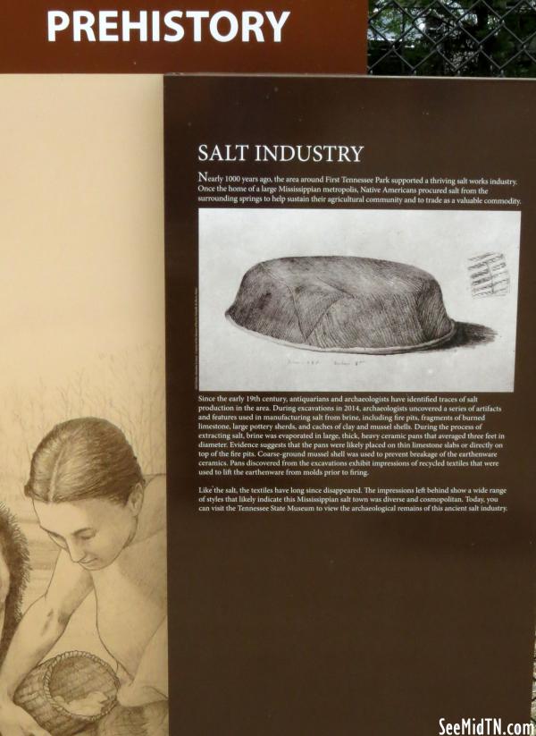 Prehistory - Salt Industry