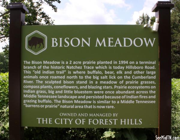 Bison Meadow