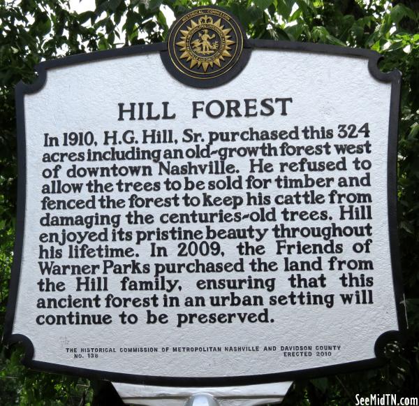 Hill Forest