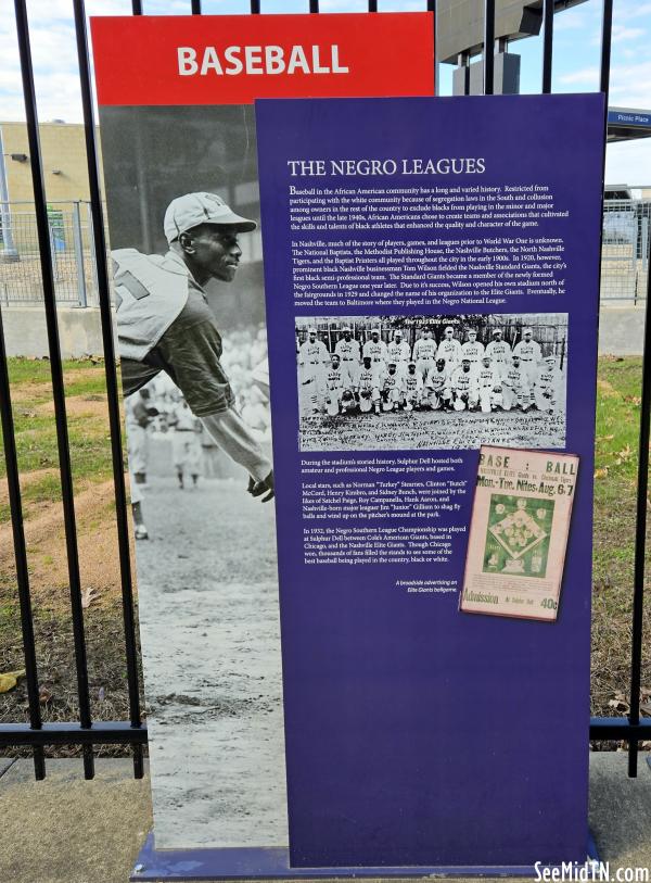 Baseball: The Negro Leagues