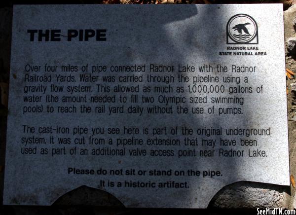 Radnor Lake: The Pipe