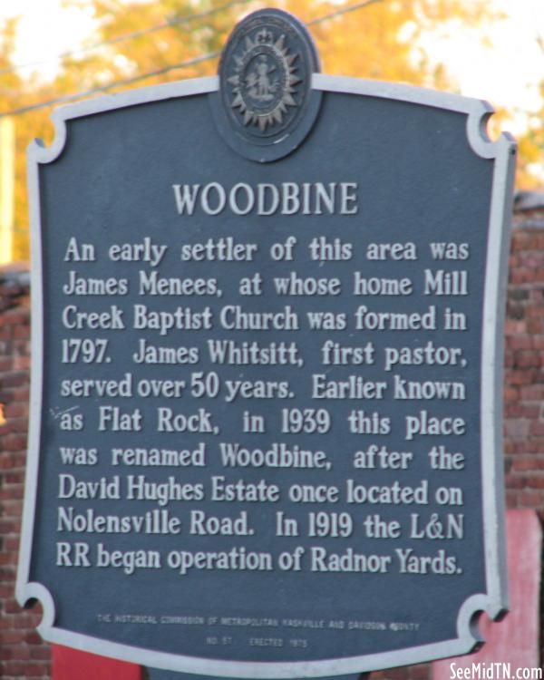 Woodbine