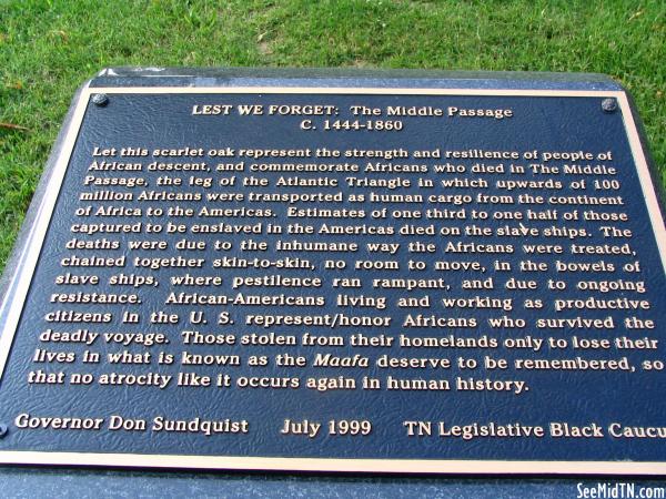 Lest We Forget: The Middle Passage