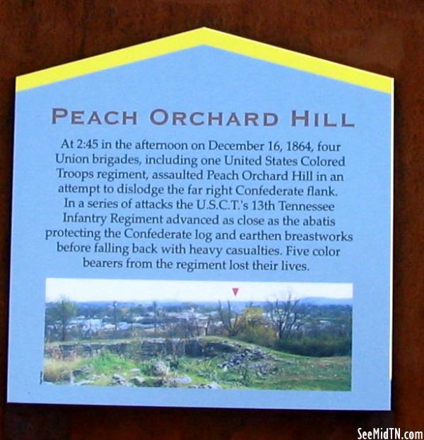 Ft. Negley - Peach Orchard Hill