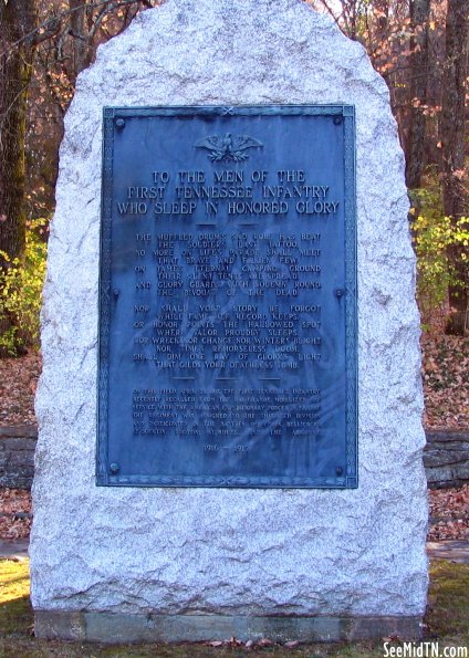 Men of the 1st Tennessee Infantry