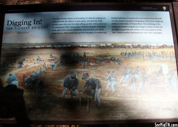 Digging In! The Pioneer Brigade