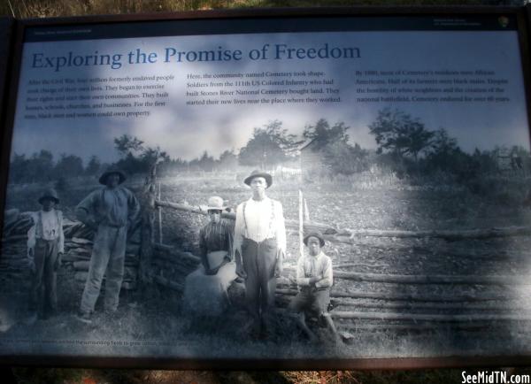 Exploring the Promise of Freedom