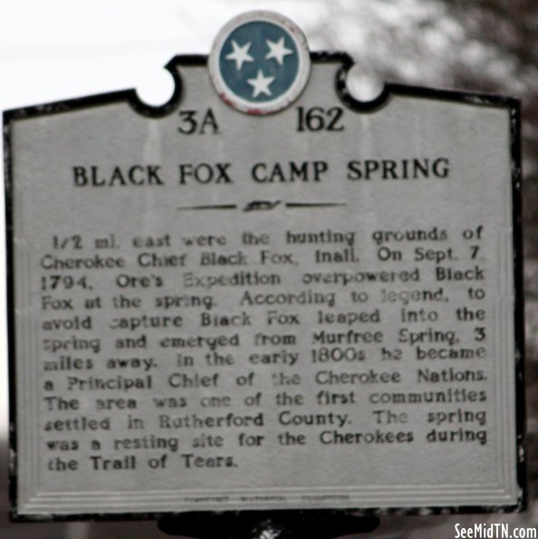 Black Fox Camp Spring