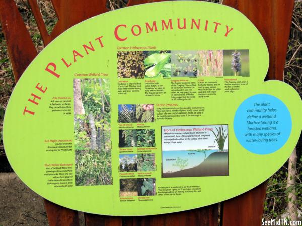 Murfree Springs: The Plant Community