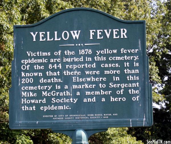 Haywood: Yellow Fever