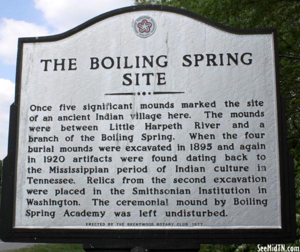 Boiling Spring Site