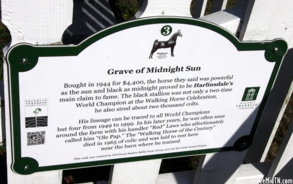 Grave of Midnight Sun