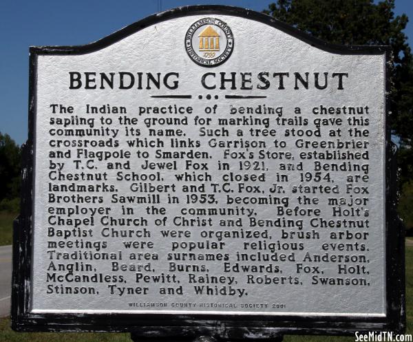 Bending Chestnut