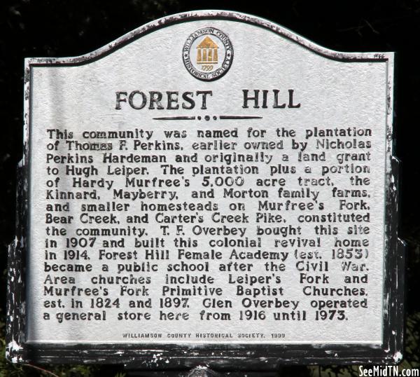 Forest Hill