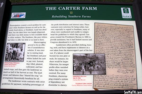 Carter Farm: Rebuilding Southern Farms