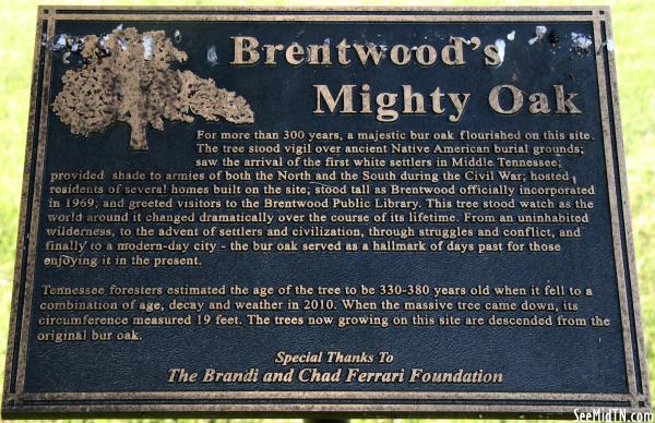 Brentwood's Mighty Oak
