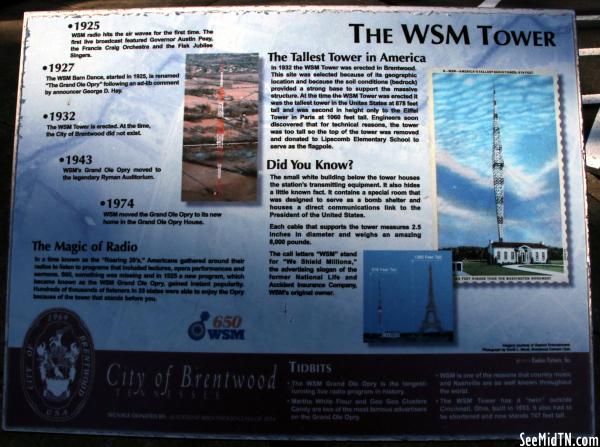 The WSM Tower (Library)