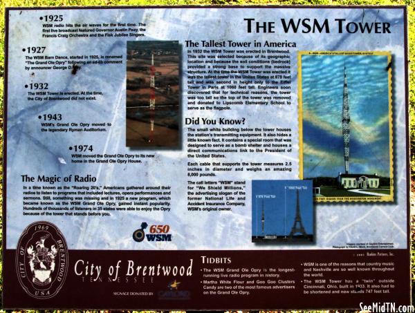 Brentwood: The WSM Tower (Tower Park)