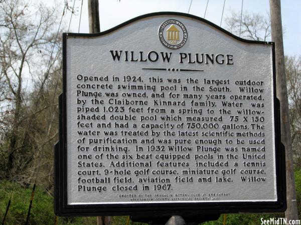 Willow Plunge