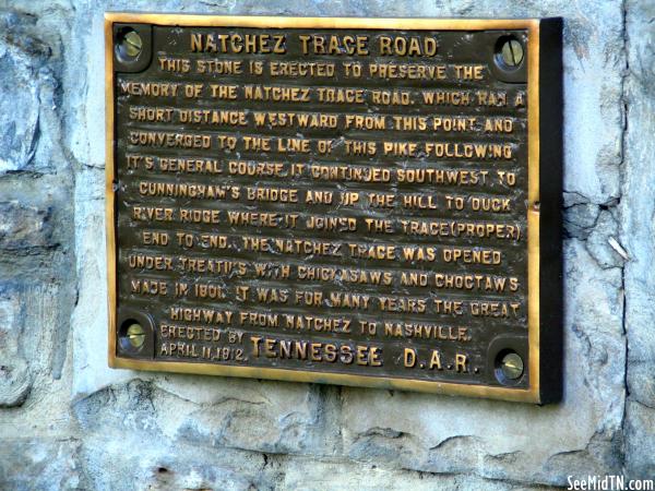 Natchez Trace Road