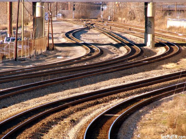 Curvy Tracks of the Gulch