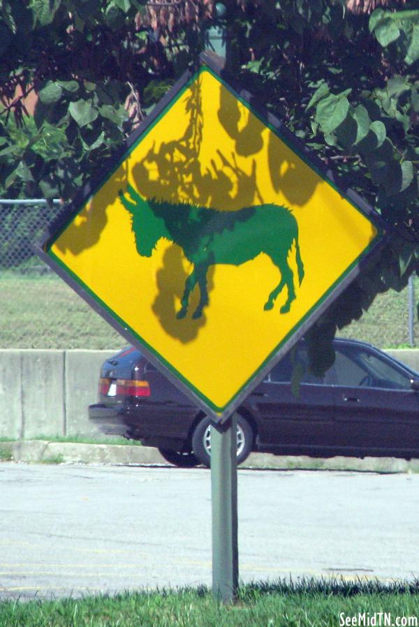 Hillsboro High School Burro Crossing