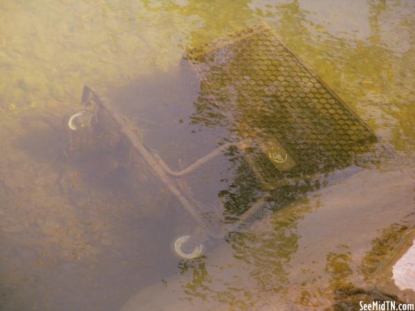 Grocery Cart Underwater