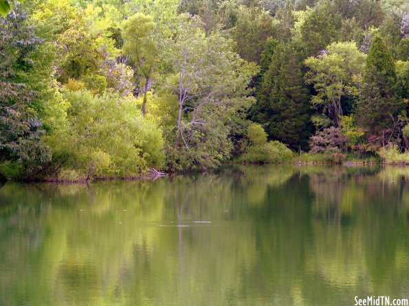 Percy Priest Lake seen from Hamilton Creek Marina