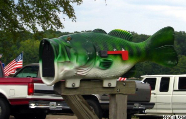 Fish mailbox