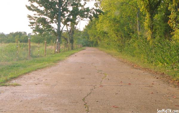 Swinging Bridge Rd