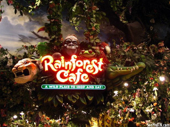 Rainforest Cafe