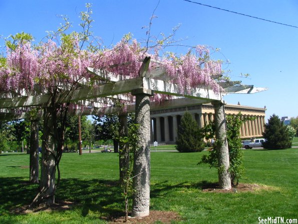 Centennial Park Fulton Arboretum