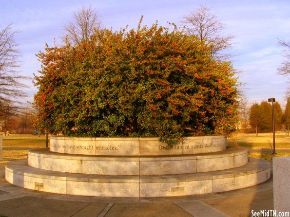 Bicentennial Mall bush