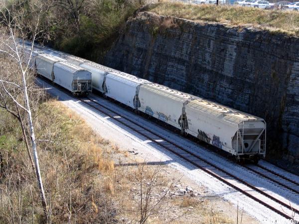 Freight Trains leading into downtown