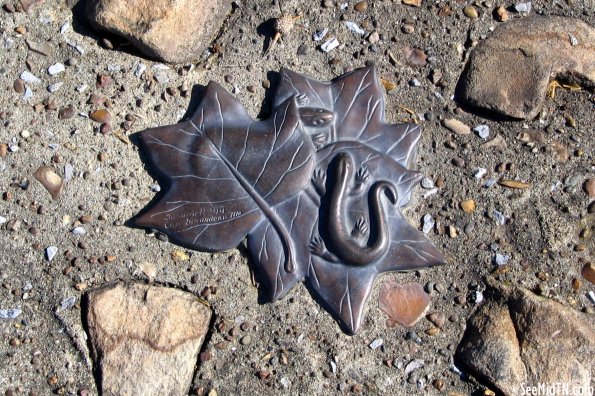 Cumberland River Greenway embedded art Salamanders