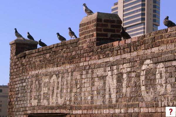 Pigeons on the L Equipment Co. Building