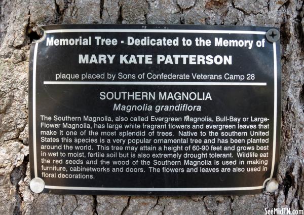 Mt. Olivet Cemetery - Memorial Tree for Mary Kate Patterson