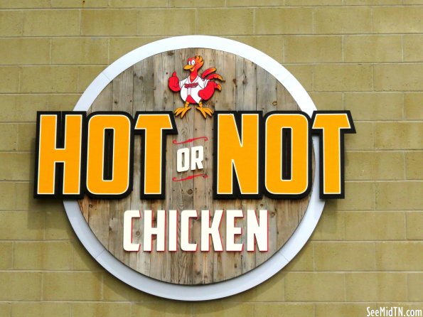 First Tennessee Park - Hot or Not Chicken