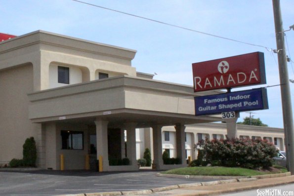 Ramada with Guitar-shaped pool