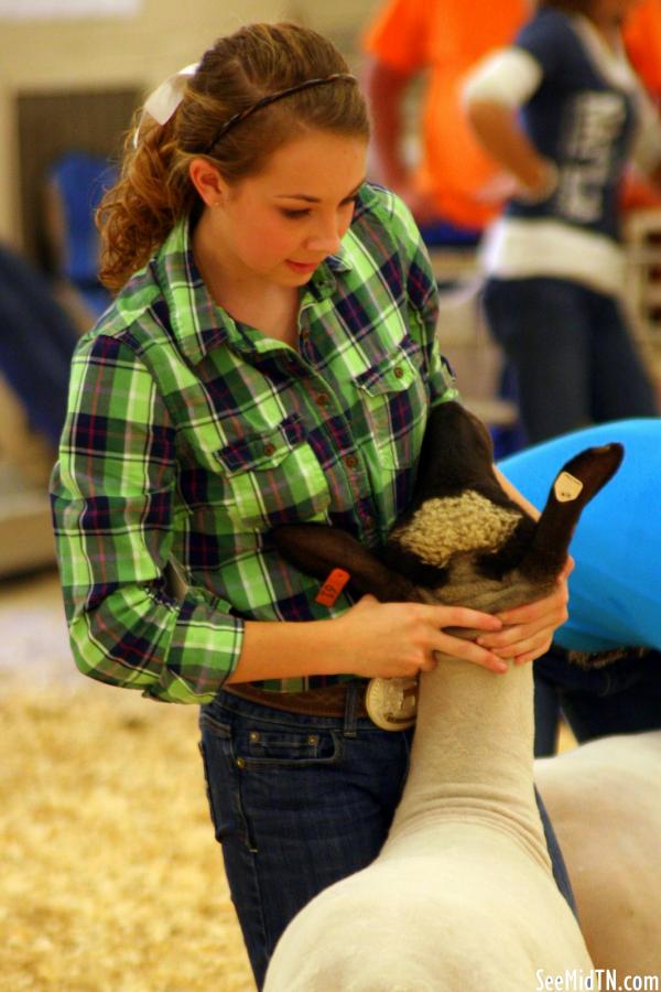 Sheep Barn: Youth Lamb Show