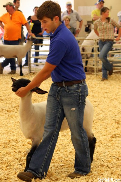 Sheep Barn: Youth Lamb Show