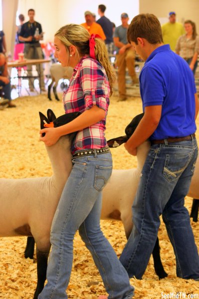 Sheep Barn: Youth Lamb Show