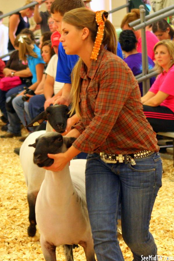 Sheep Barn: Youth Lamb Show