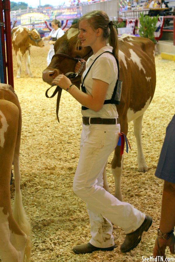 Bovine: Junior Show