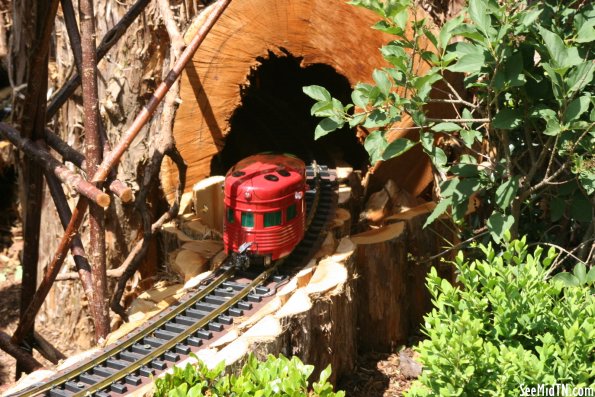 Ladybug emerges from the tunnel