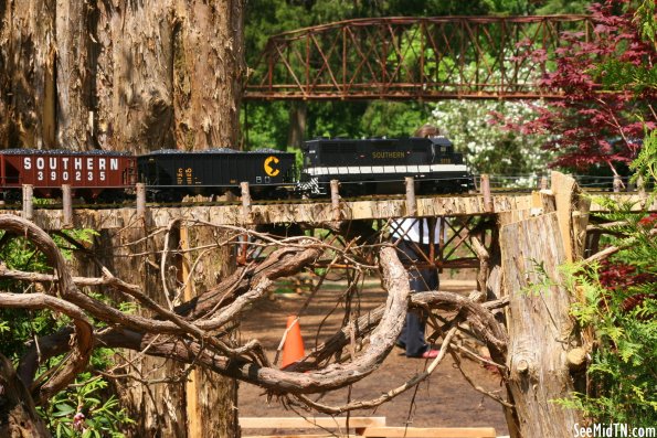 Bridge supported by tree limbs