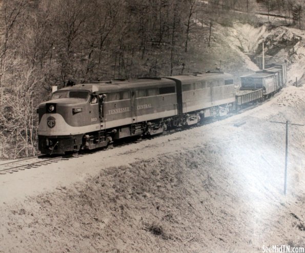 Museum Photo: Engine #803